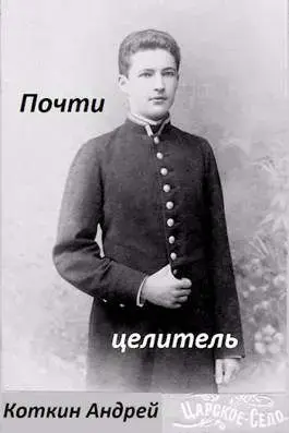 Обложка для обзора книги Почти целитель автора Андрей Коткин Ставр Восточный